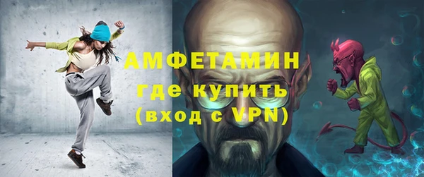 сатива Вяземский