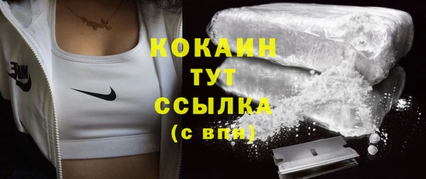 сатива Вяземский