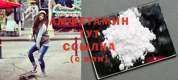 сатива Вяземский