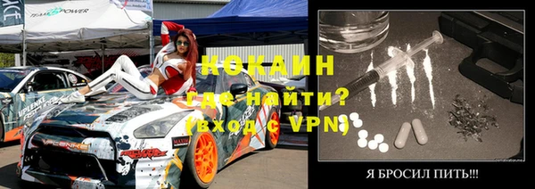 сатива Вяземский