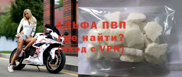 сатива Вяземский
