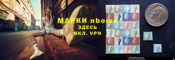 сатива Вяземский