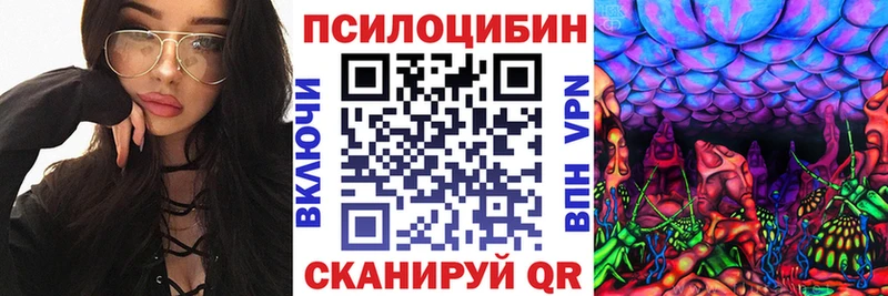 Галлюциногенные грибы Psilocybe  Купить где  Константиновск 