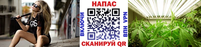 Купить где  Константиновск  Шишки марихуана White Widow 